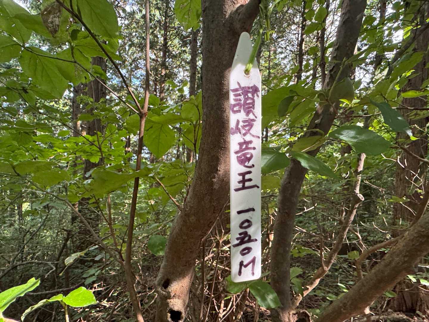 香川県最高峰。