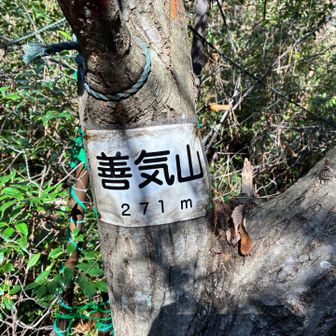 9座目！あと一つ