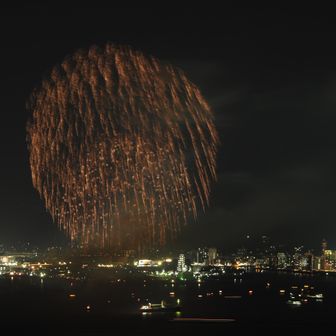 最後の大枝垂れ花火(にしきかむろの最後の一発だったのか　まだ続きがあるのかと思ってしまった良）