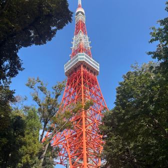 みんな大好き東京タワー🗼