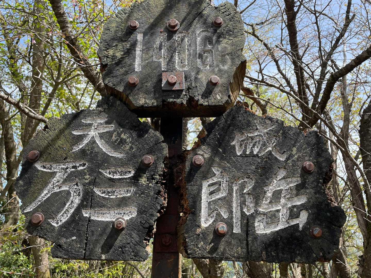 天城縦走登山口-万二郎岳-石楠立-万三郎岳-片瀬峠-小岳- 縦走コースの写真