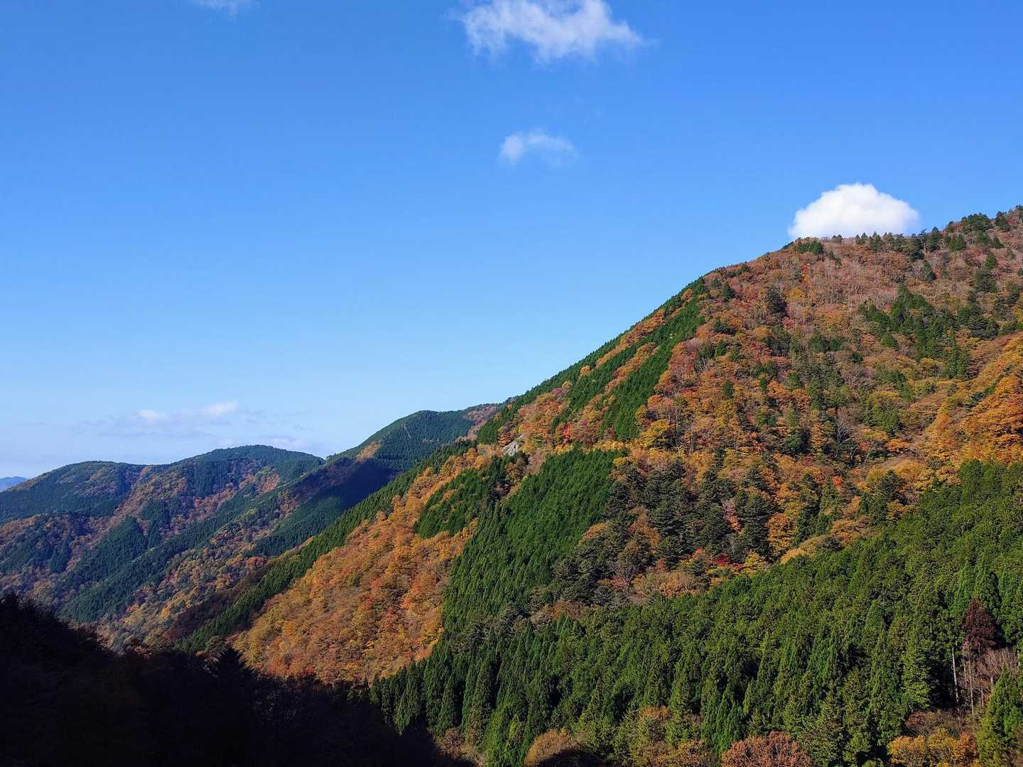 スタート早々、対面の山肌は🍁いい色してます