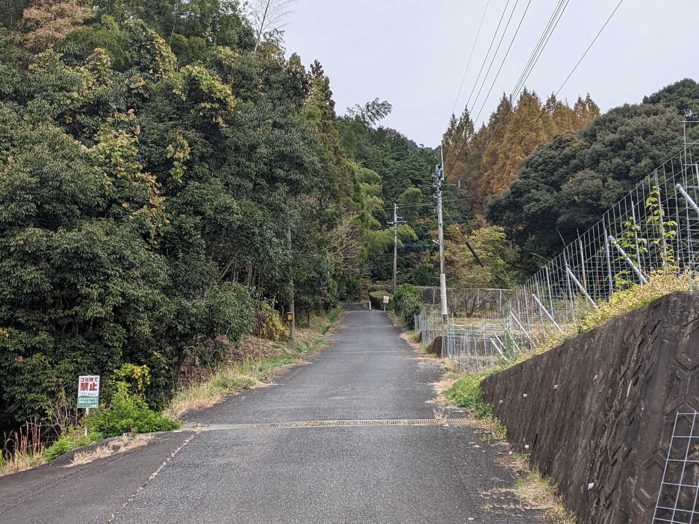 🚶
