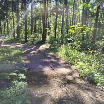 貝沢登山口駐車場。無事終了。