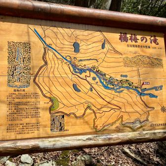 駐車場に戻ります。