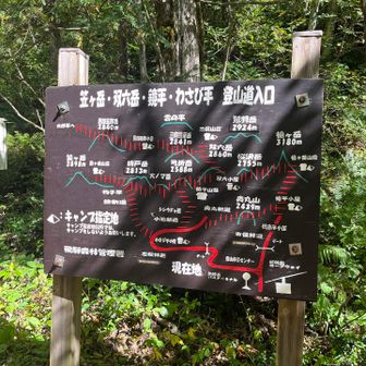 登山口まで来ました