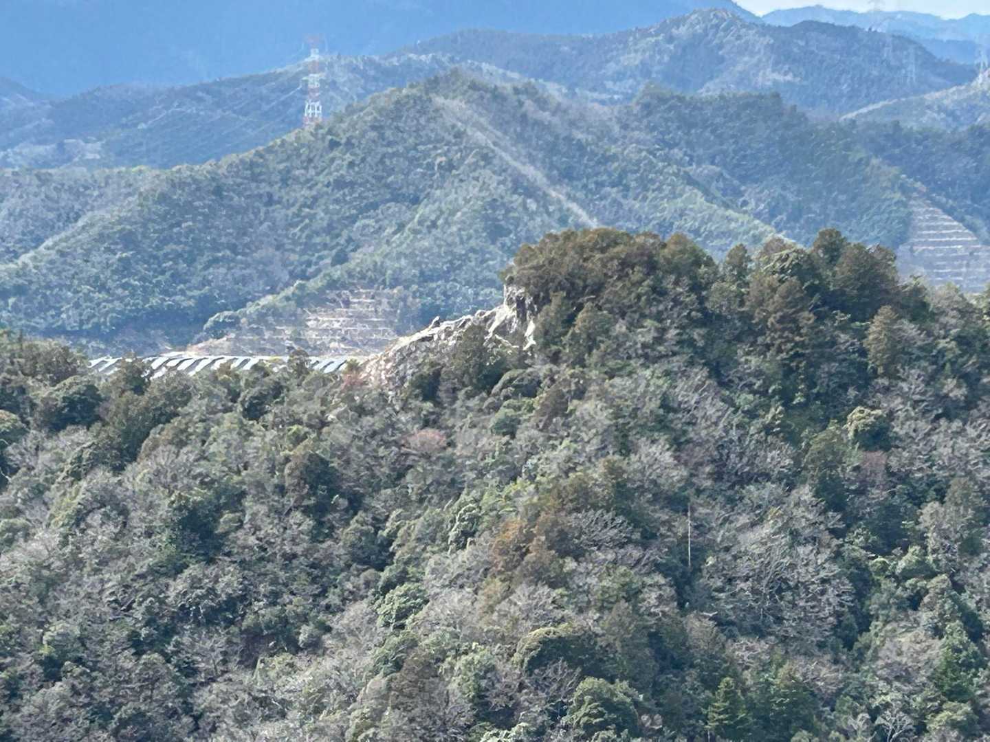 さっき回避したゴリラ岩🦍
断崖絶壁やん😱