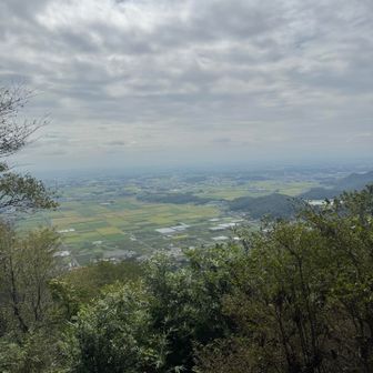 ぶどう団地方面

街道に多くのぶどう直売所がありますが営業中なの初めて見ました😳

巨峰とかシャインマスカットなど販売中で賑わってました🟢🟣