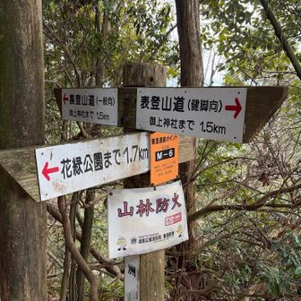 裏登山道へ