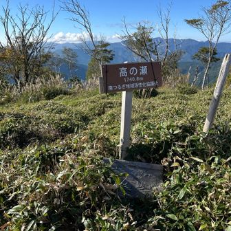ここからトゲトゲ植物が増えます