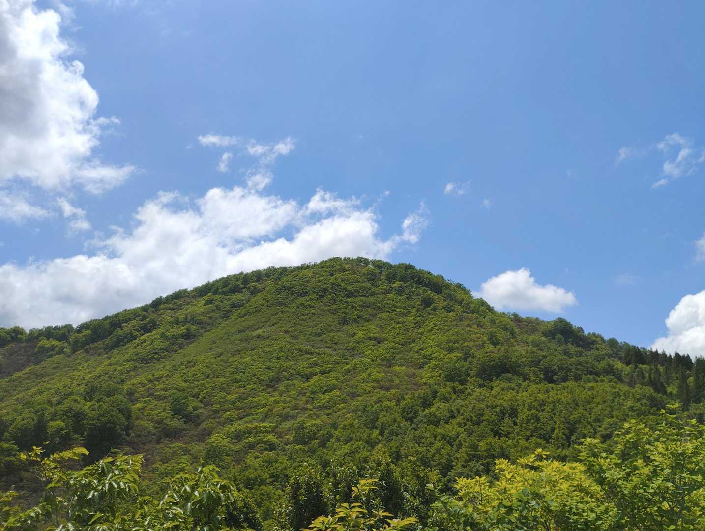 振り返って袴腰山