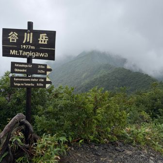 見えません😔