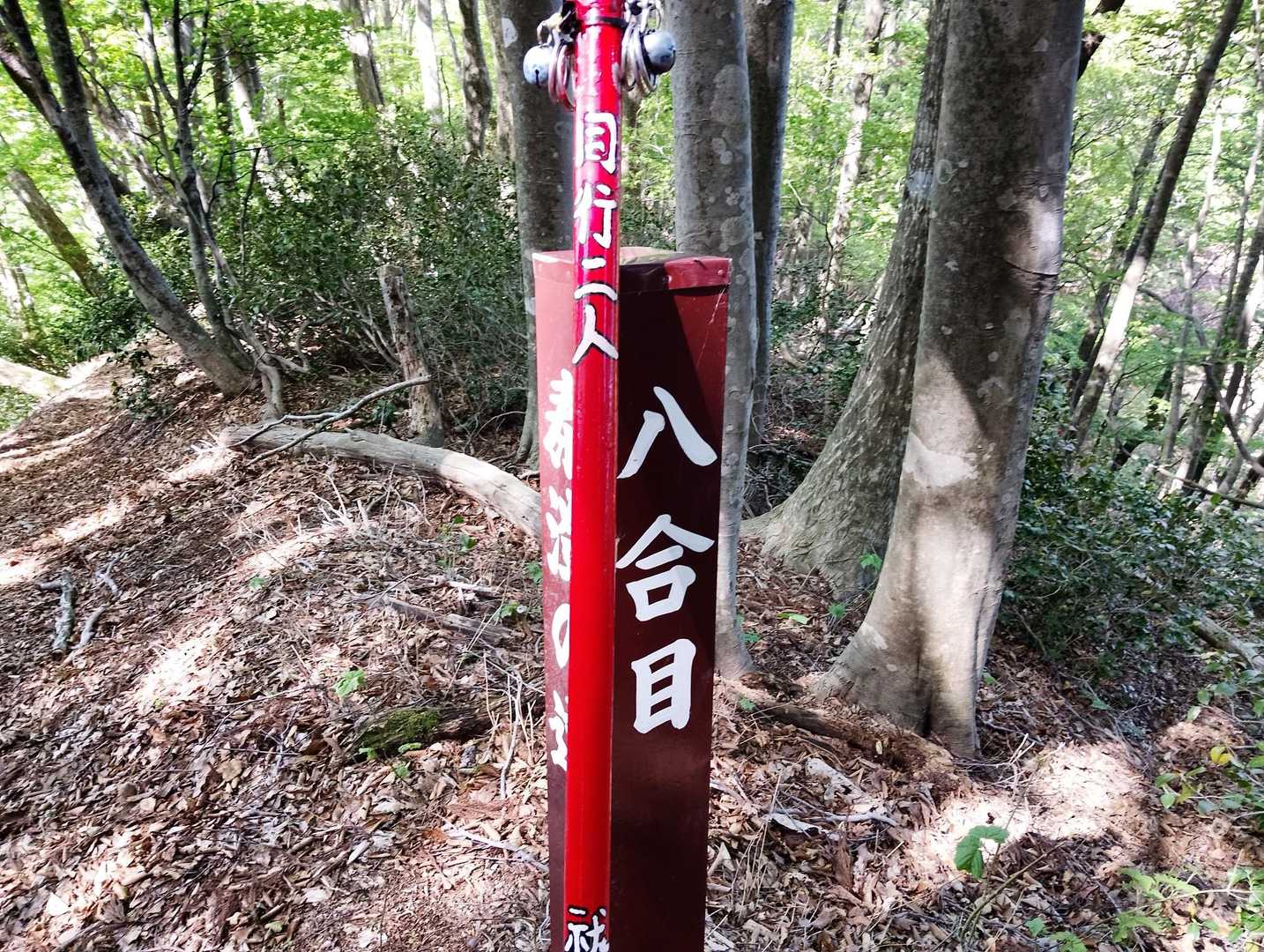 あと少し🏋️🐾🎶