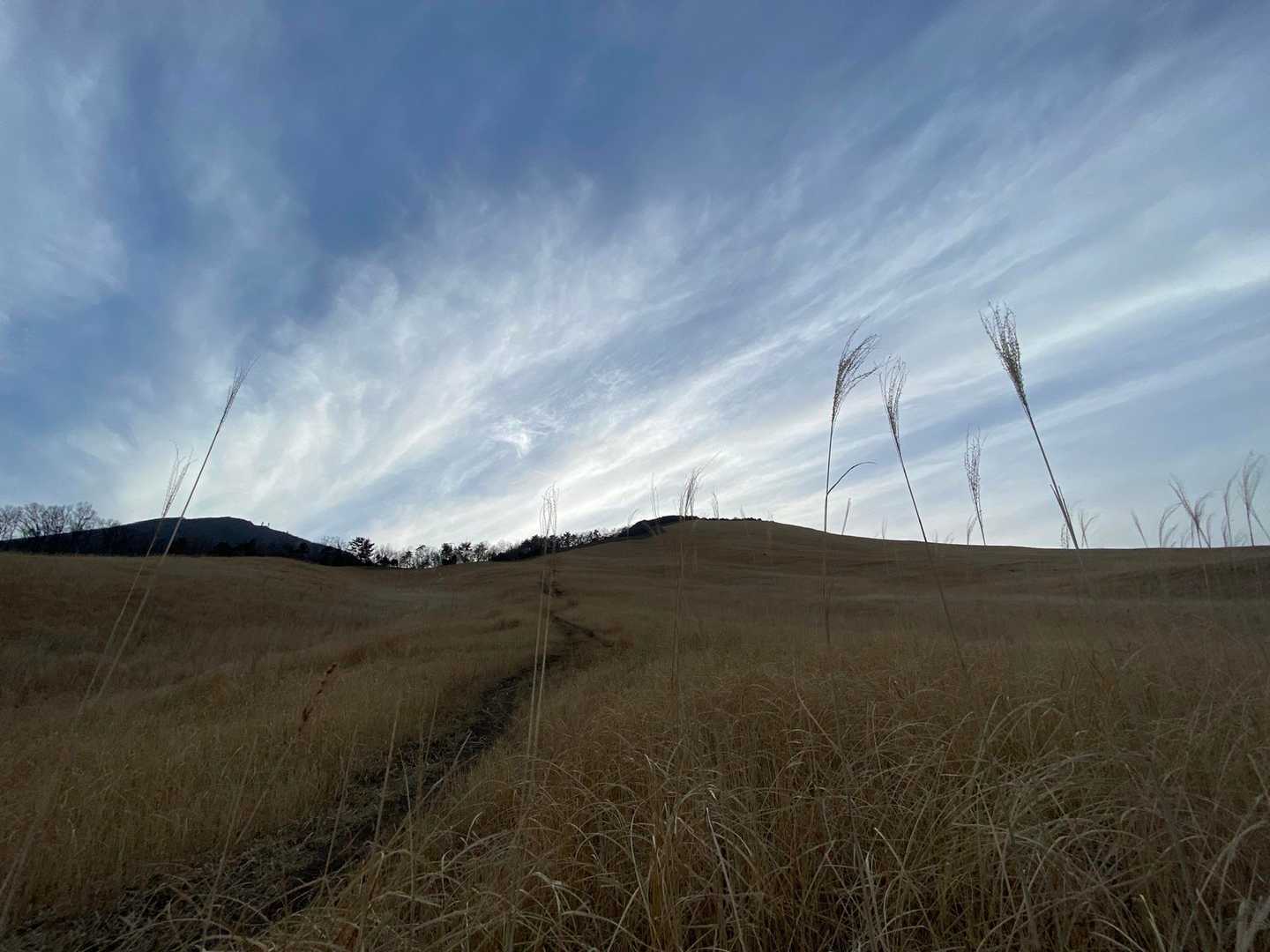 さて、急登の始まり💦