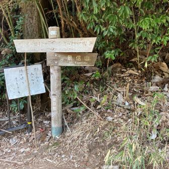 ＪＲ高尾駅北口からバスに乗って景信山登山口へ。
この時まだ晴れてたんですが…