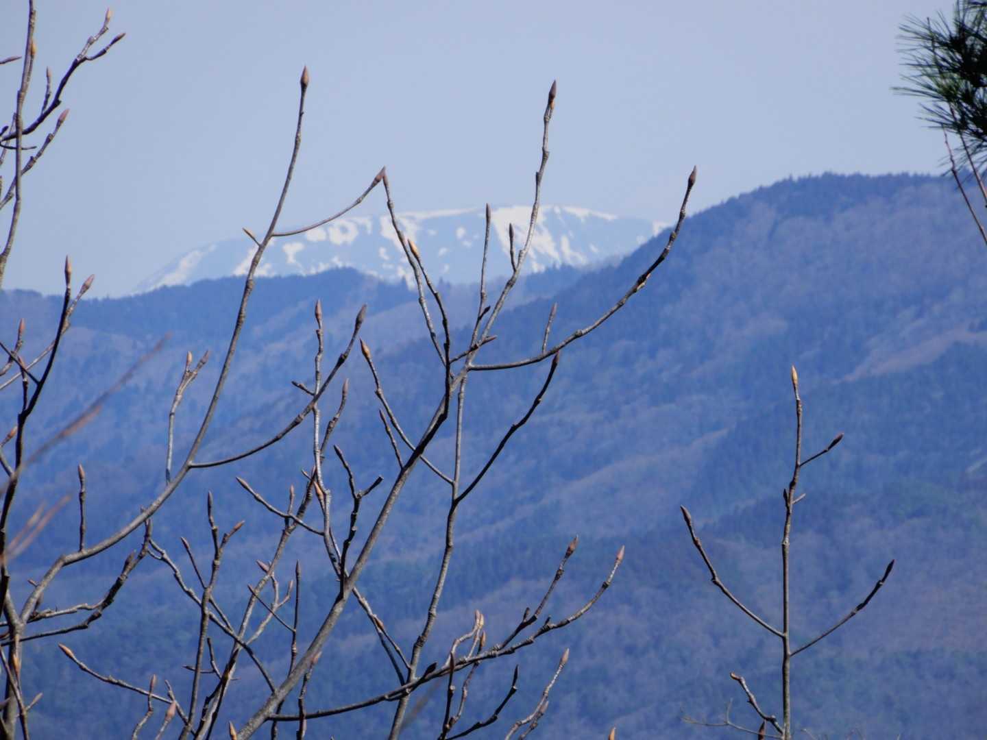 高取山登山口-高取山 周回コースの写真