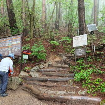矢立石登山口からは歩きやすい道に。