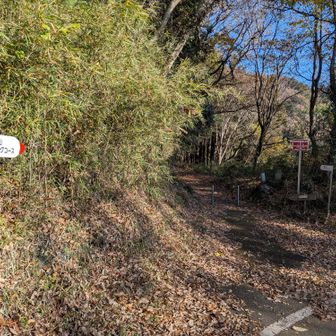 こっちが八重山。