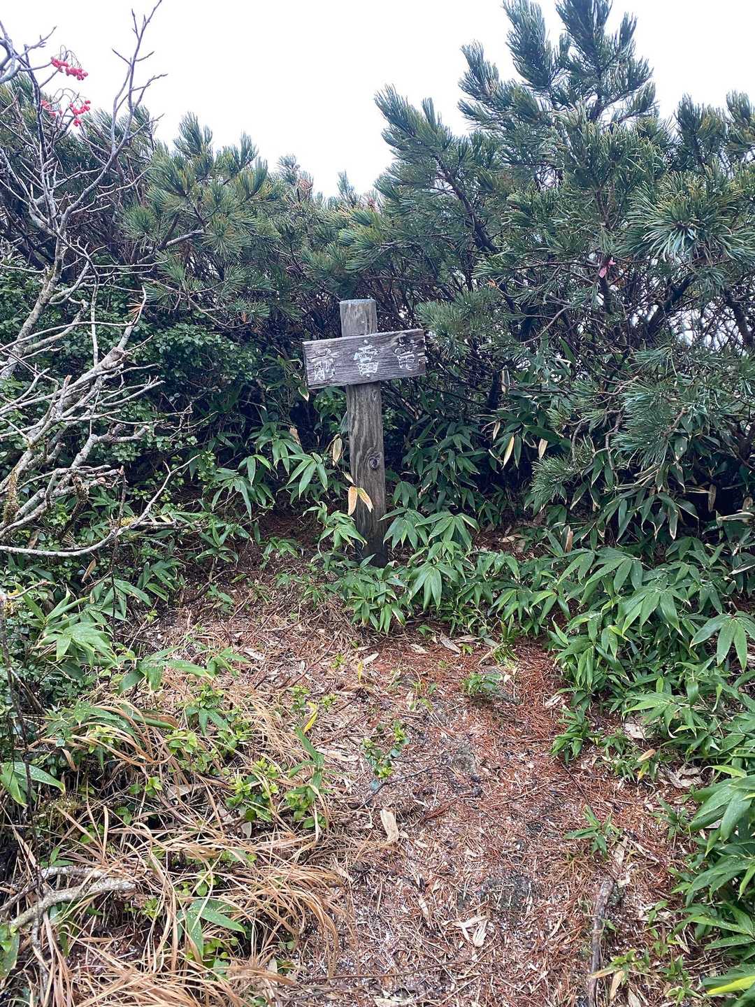 前雷電到着。
雪が降ってきたので、目指す本ピークを目指します⛰️