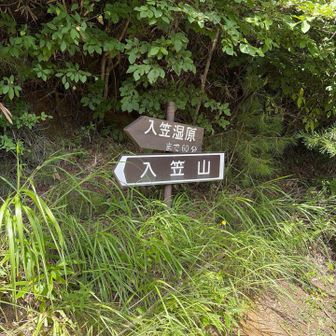 入笠山時に撮ってなかった登山道入り口
