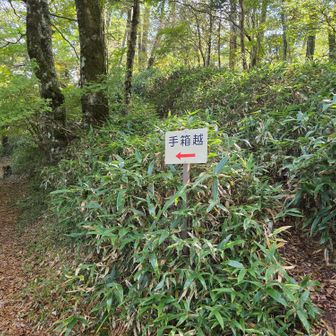 ささこぎをしながらやっと分岐
まだまだこれから👣