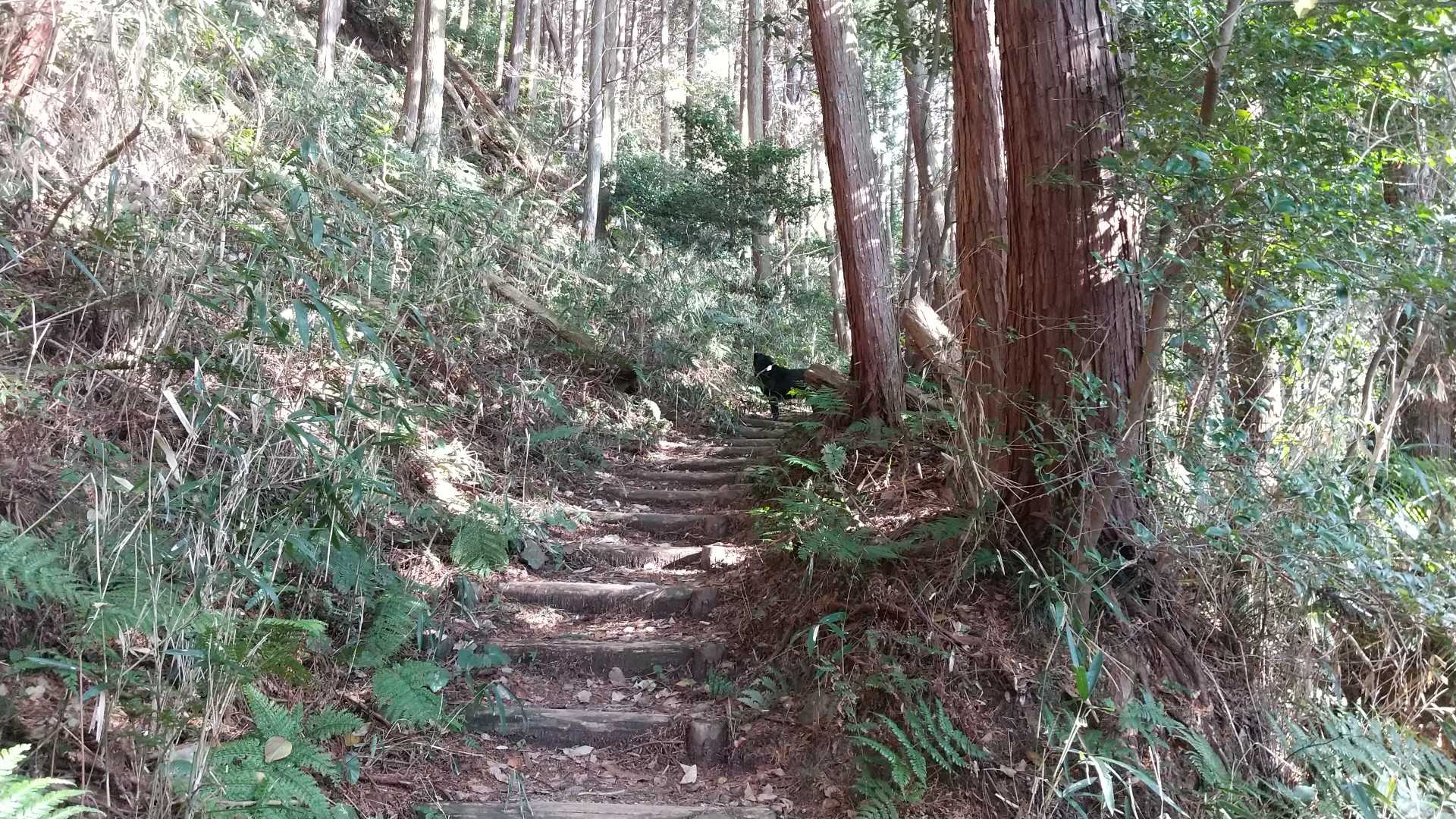 こちらは416段でした