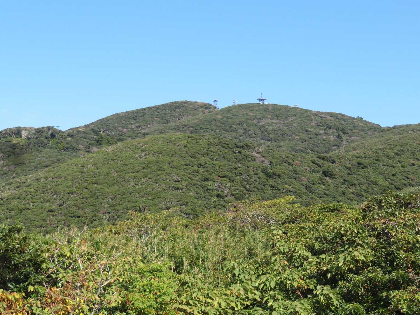 宮塚山南峰 往復コースの写真