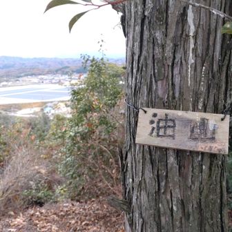 安心感というか何というか
道中ずっとゆる〜い気持ちになれる不思議な場所