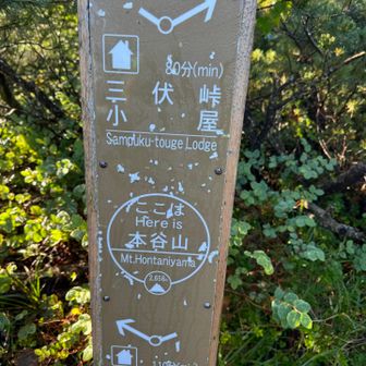 本谷山⛰️に到着。