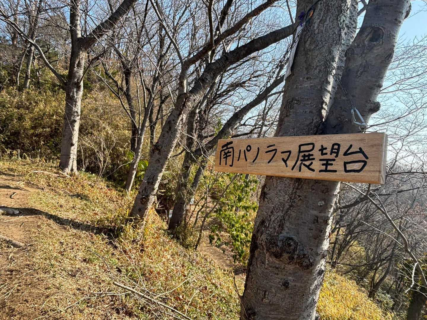 柏原駅-堅下駅-鐸比古鐸比賣神社-高尾山登山口-高尾山-高 縦走コースの写真