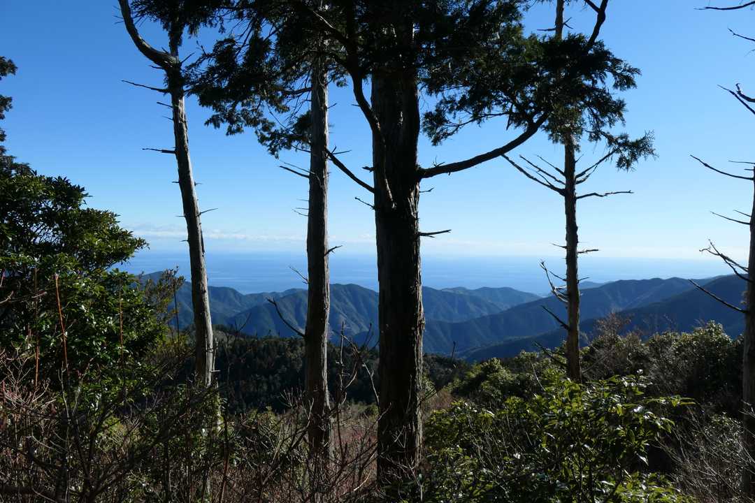 太平洋が見えます🤩