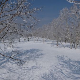 すぐにノートレース