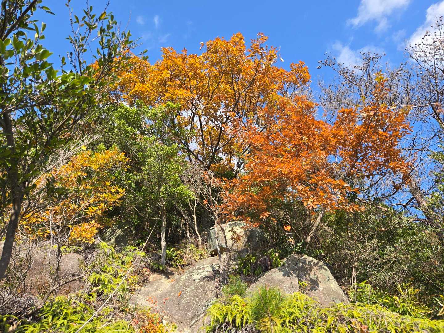 無事下山、少し歩いてのんびりするのにちょうどいいお山🥰