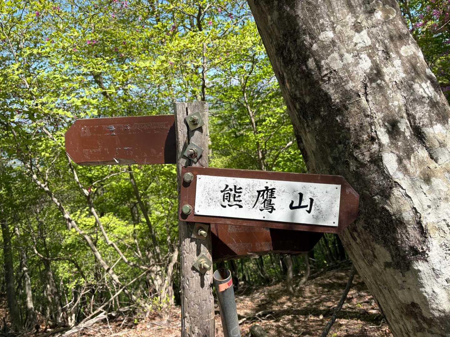 熊鷹山に向かいます
