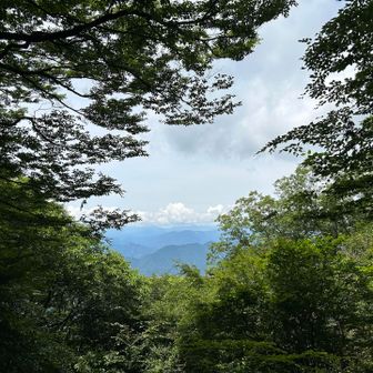 🗻は頂上の一部しか見えません😭