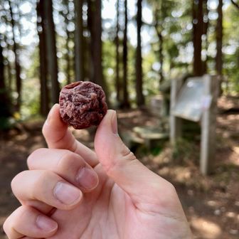 梅干し食べてスッパマン
汗かく季節はコレよね