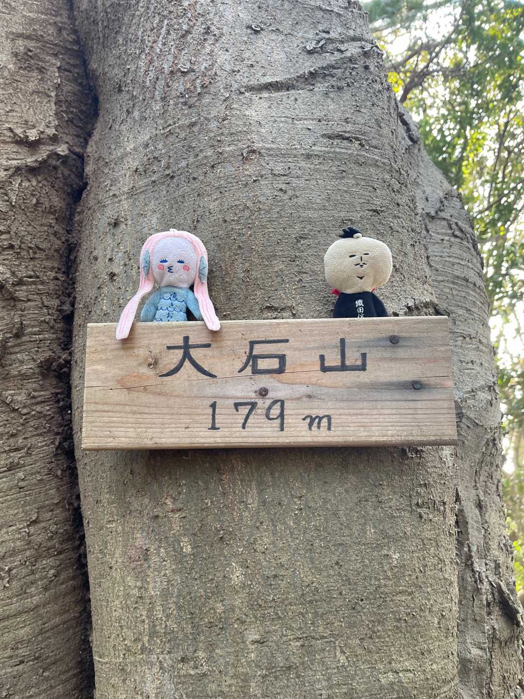 大石山179m制覇じゃ‼️