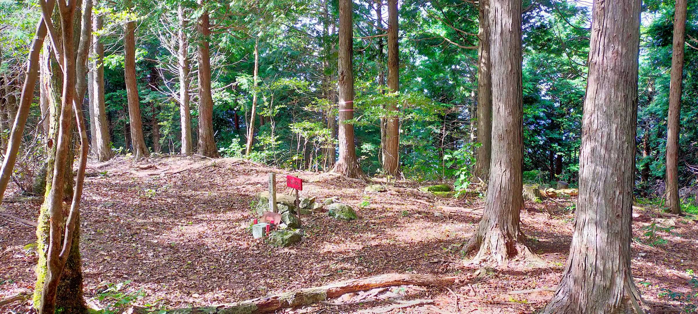 本日2座目の峠山到着！😆　眺望は有りませ〜ん😅