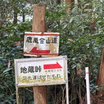 お地蔵さんいるのかな〜