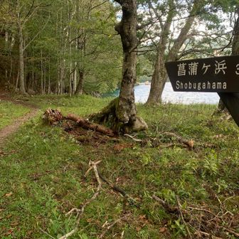 主人が足が痛いって