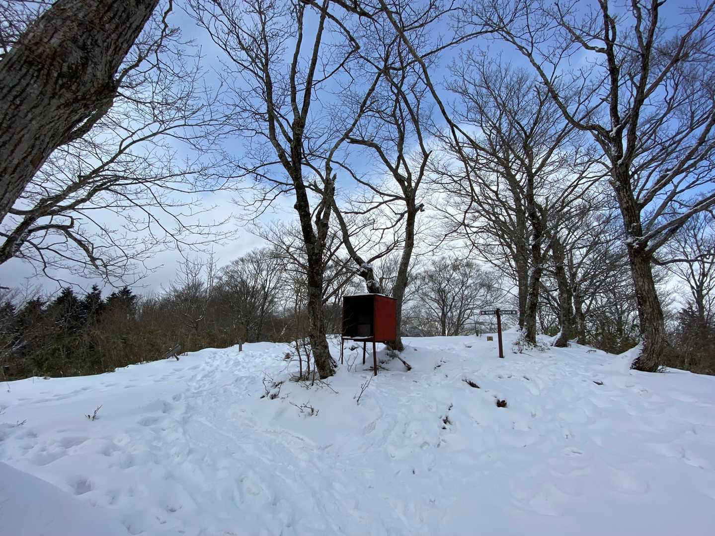 頂上到着！
頑張った甲斐があったねー😆
しかも天気も良くなった😄