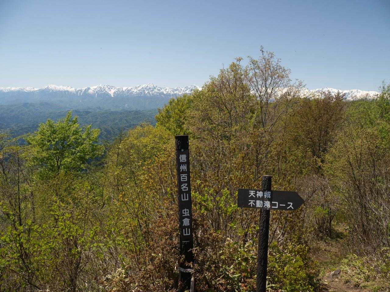 山頂へ