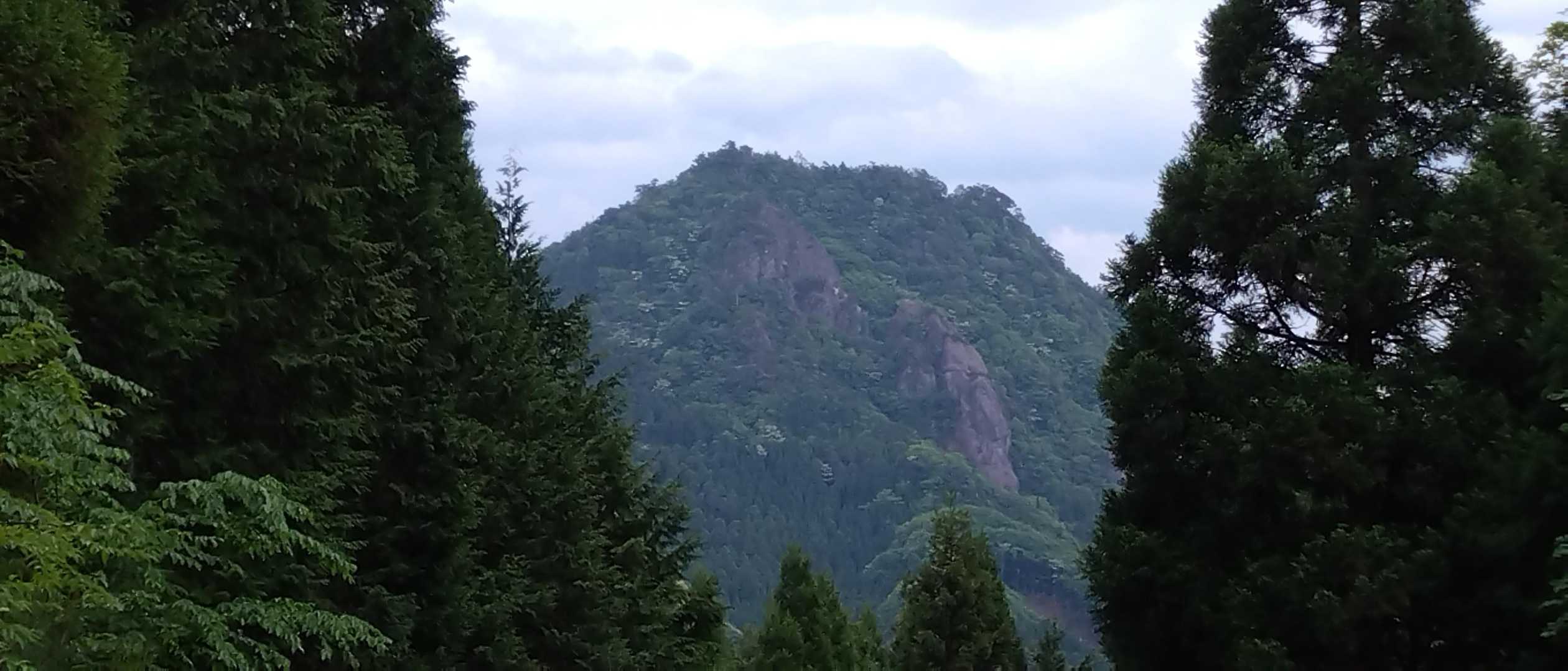 中摩殿畑山 往復コースの写真
