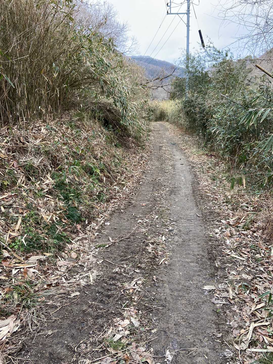 私は行かないので、下山です。