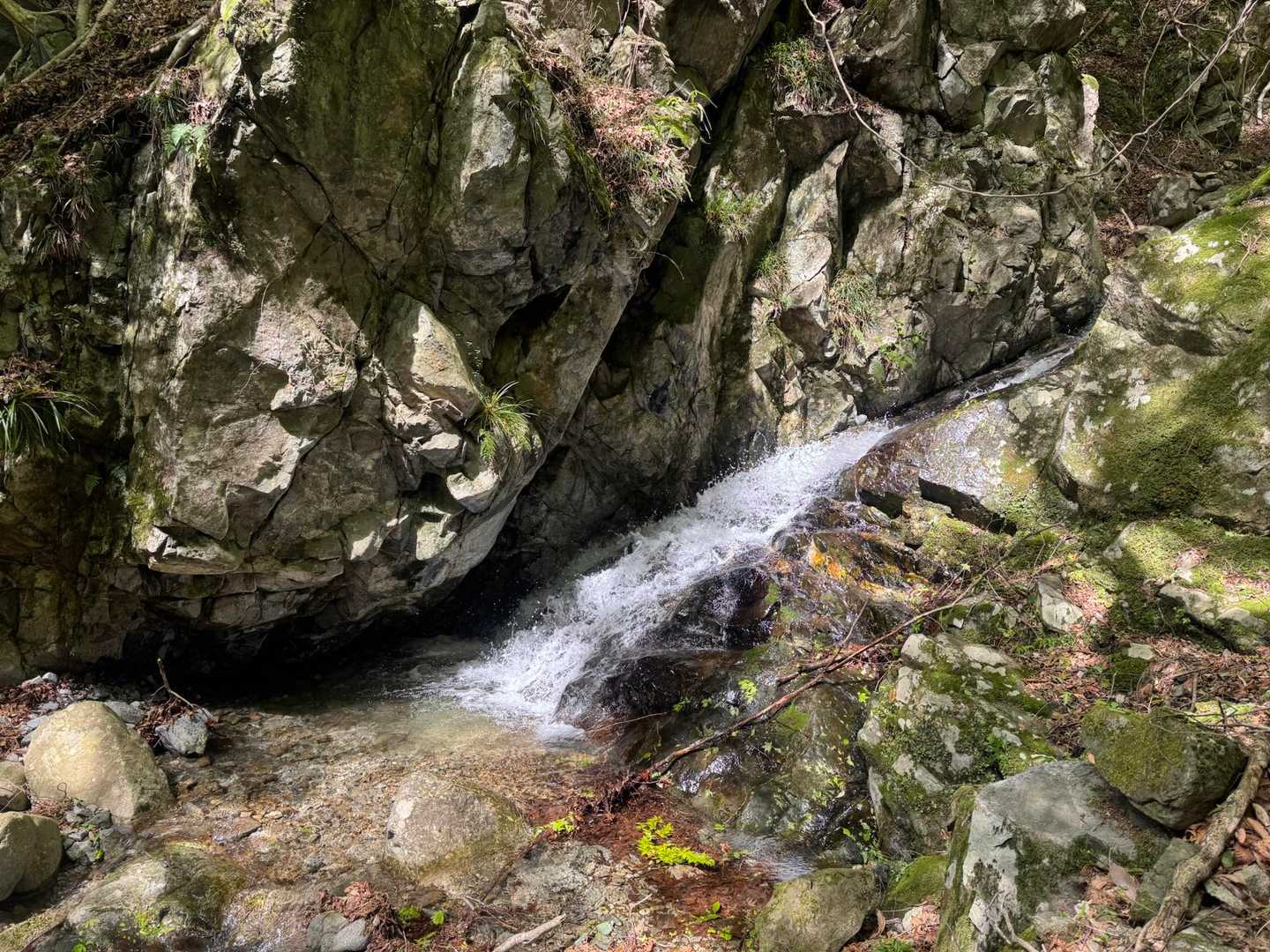 修験業山-栗ノ木岳-若宮峠 周回コースの写真