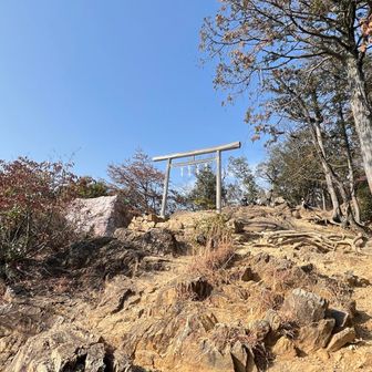 あそこでお弁当食べてる子達に、おっさんに間違えられたーー😤
まーね。この歳になると男か女かわからんかもね😂
こんなにキュート‪🫶なのにねぇ🤔