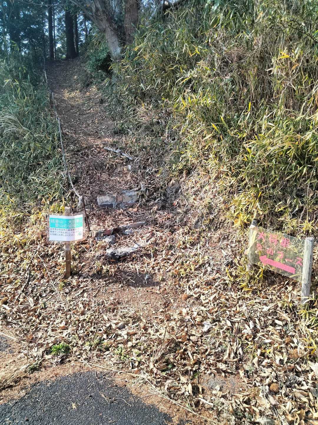 次は大将軍山⛰️
こちらも山頂まで🚗で行けますが、敢えて山道を歩きます🏃