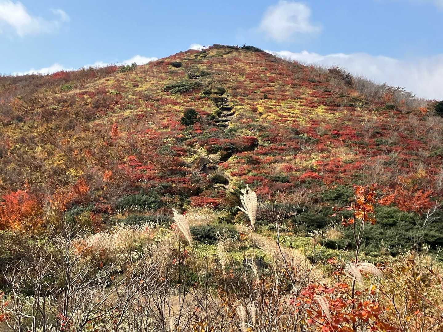 もうそろそろ🍁も終わりかな