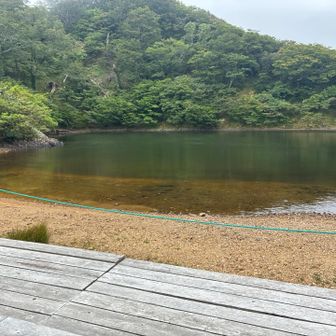 敦賀市から来られた方　滋賀県から来られた方そして私の3人が　霧に包まれた神秘的な夜叉ヶ池を目の前にして山の話に花を咲かせた
青空も出て来て　暖かくなって来ました