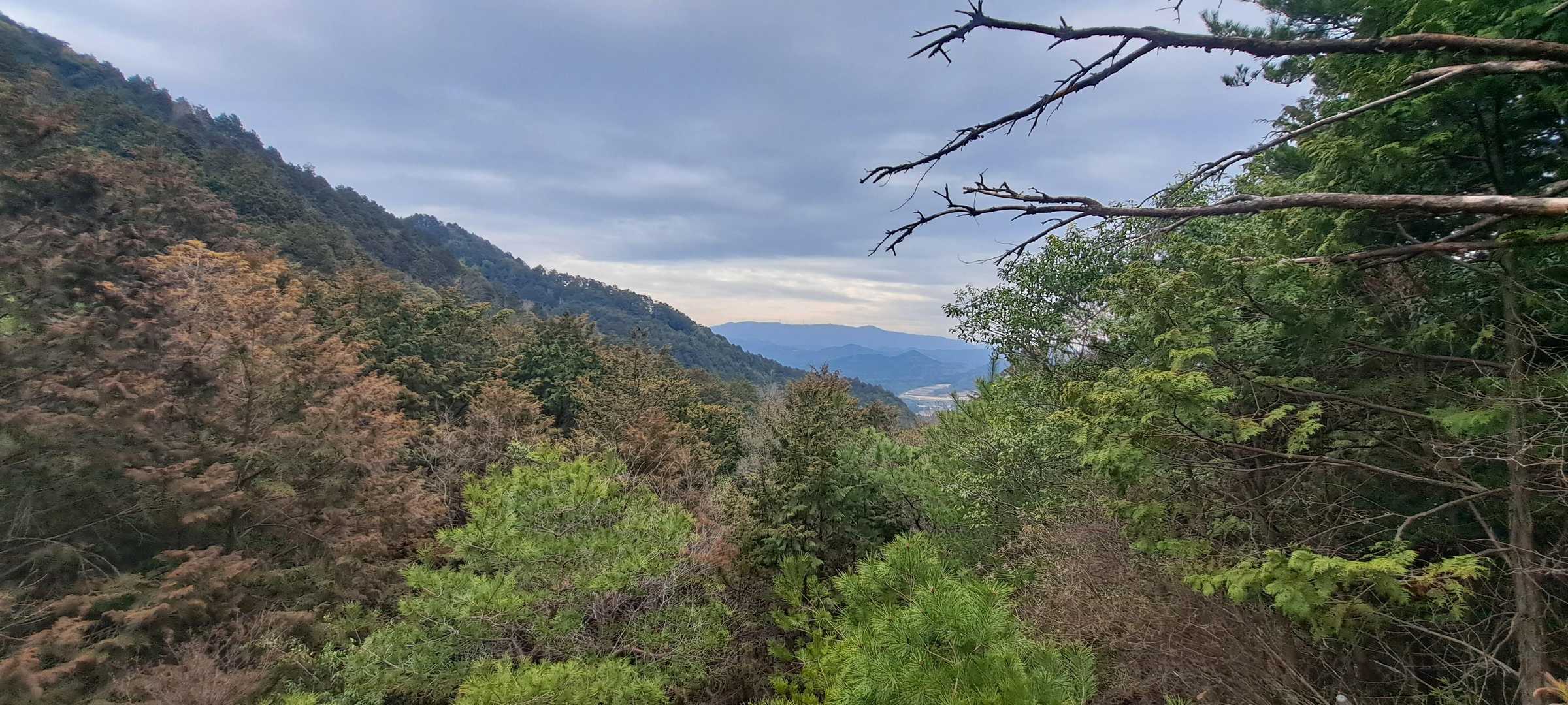 少し開けた景色